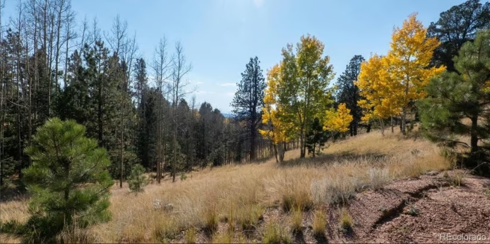 Commercial Property for Sale in Cripple Creek Colorado 80813